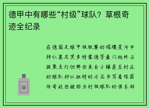 德甲中有哪些“村级”球队？草根奇迹全纪录