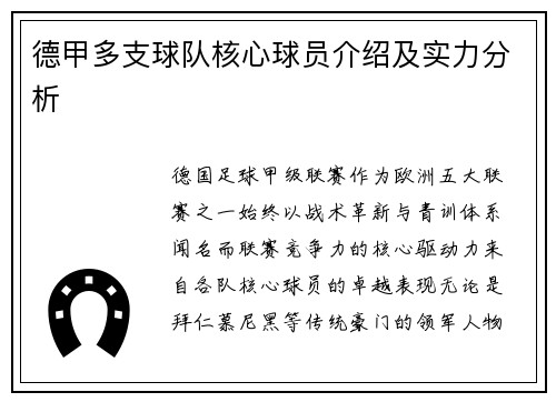 德甲多支球队核心球员介绍及实力分析